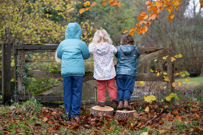 The Ultimate Autumn Activity Guide