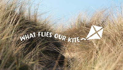 What Flies Our Kite - The Festive Edition