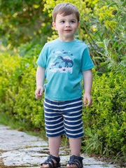 Corfe shorts navy