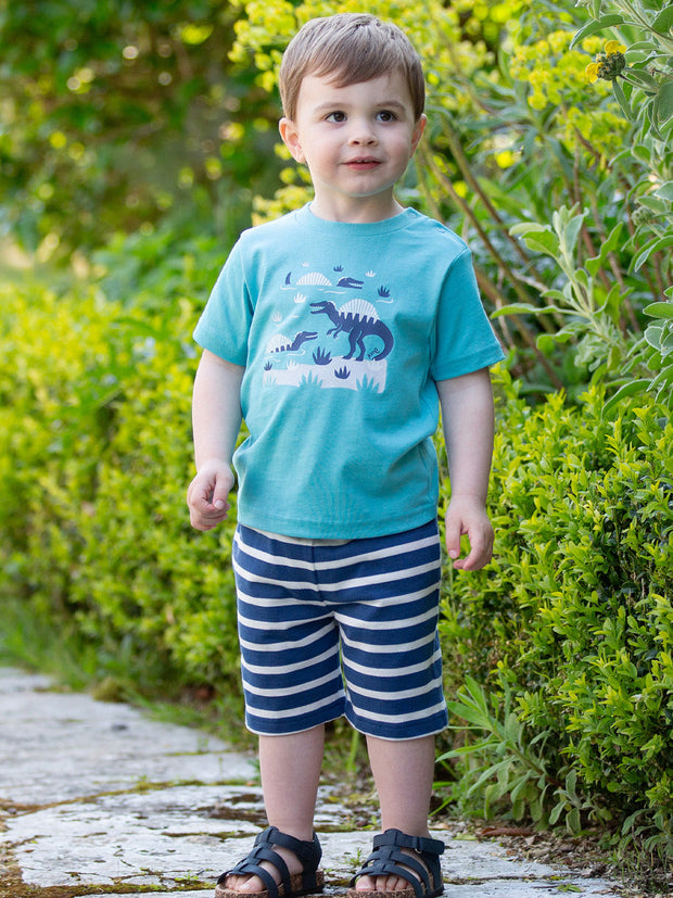 Corfe shorts navy