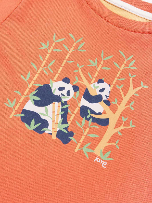 Panda pals t-shirt