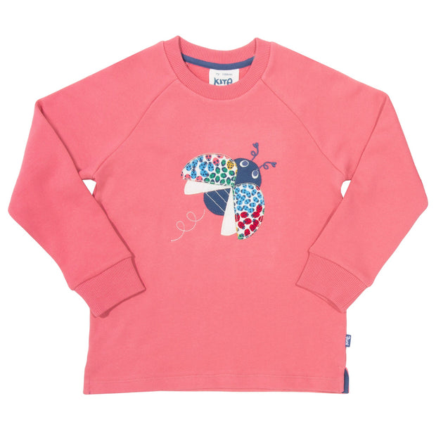 Flat shot of ladybird sweatshirt