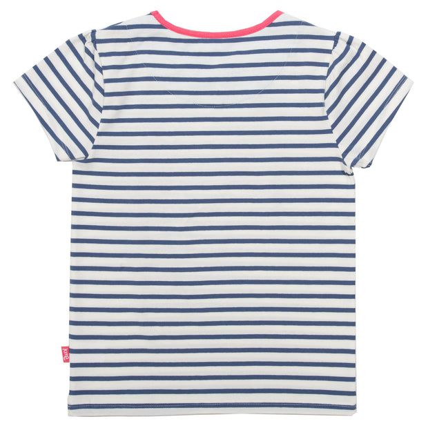 Flat shot of dolphin rainbow t-shirt