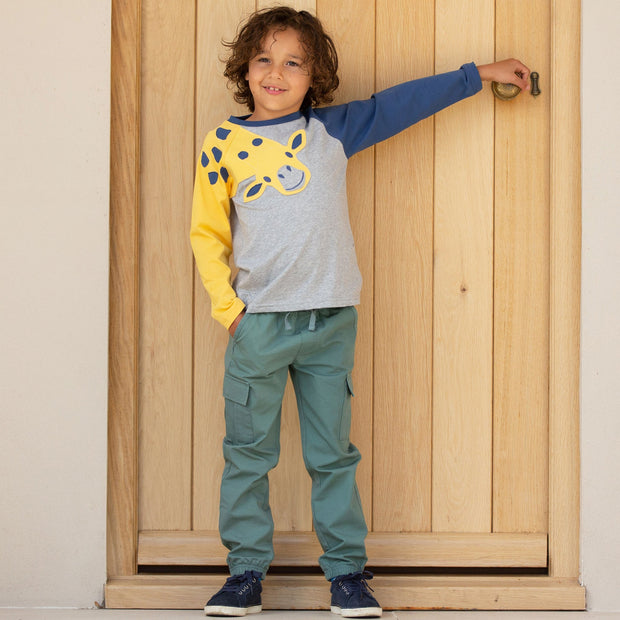 Boy in giraffe t-shirt