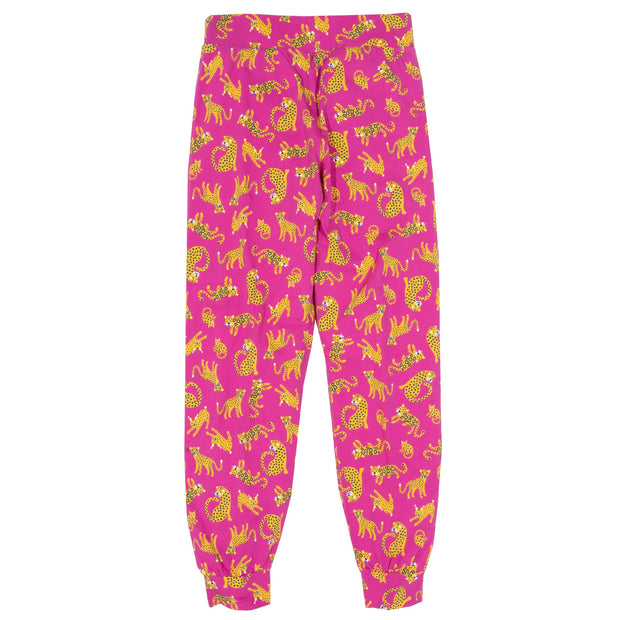 Flat shot of lyme loungers cat kingdom