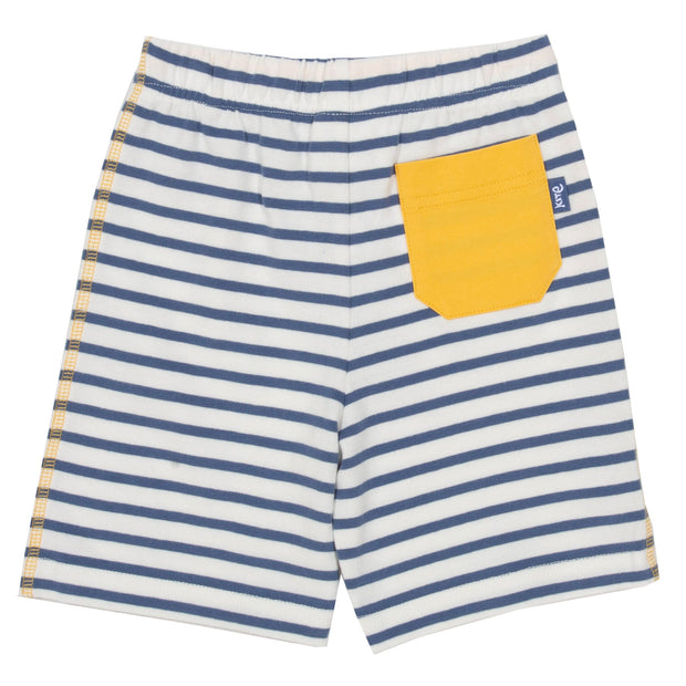 Flat shot of mini corfe shorts