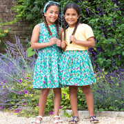 Girl in flutterby dress