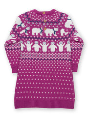 Polar pals knit dress