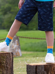 Kite - Boys organic dino socks - Three pack