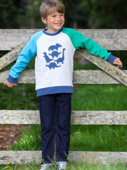 Kite - Boys organic dino play sweatshirt - Appliqué design - Ribbed neckline, cuffs and hem