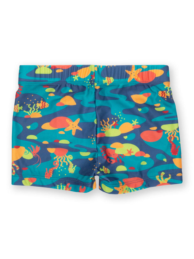 Kite - Boys  rock pool swim trunks - UPF 50+ protection