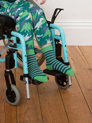 Dino socks