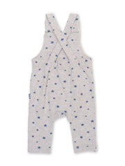 Starry sky dungarees