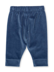 Mr Bear velvety leggings