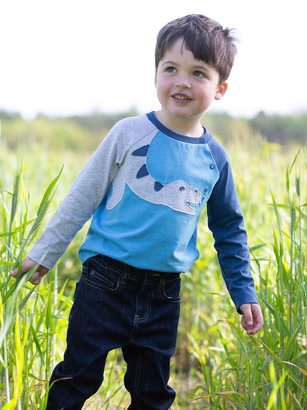 Plesiosaurus t-shirt