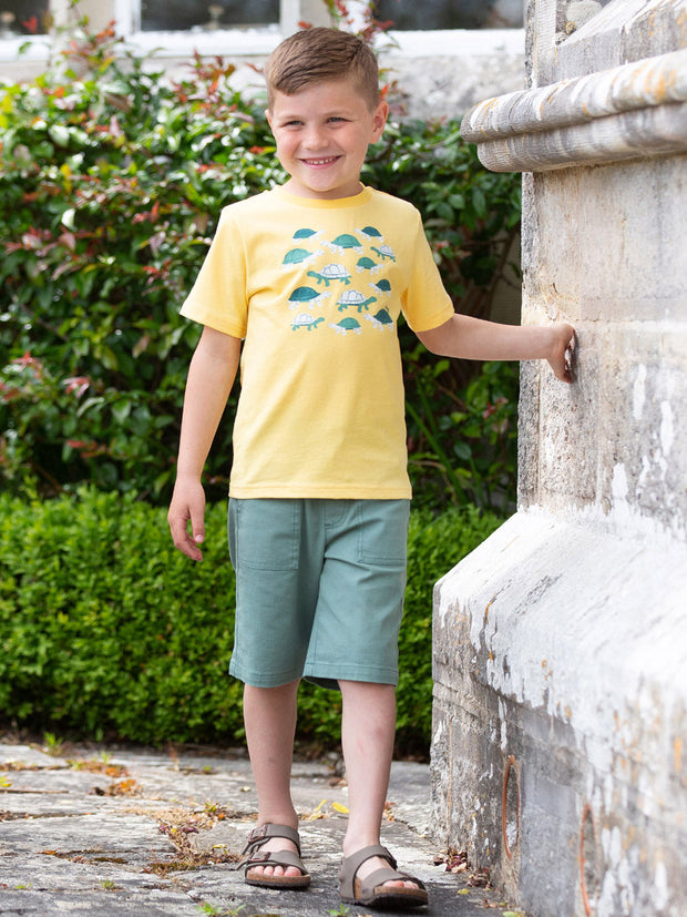 Giant tortoise t-shirt