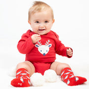 Baby in 2 pack owl socks