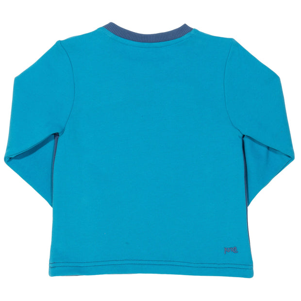 Boy in beary sweatshirt