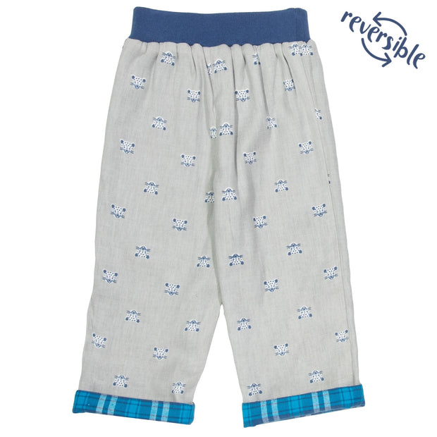 Boy in cool cat 2-in-1 pull ups