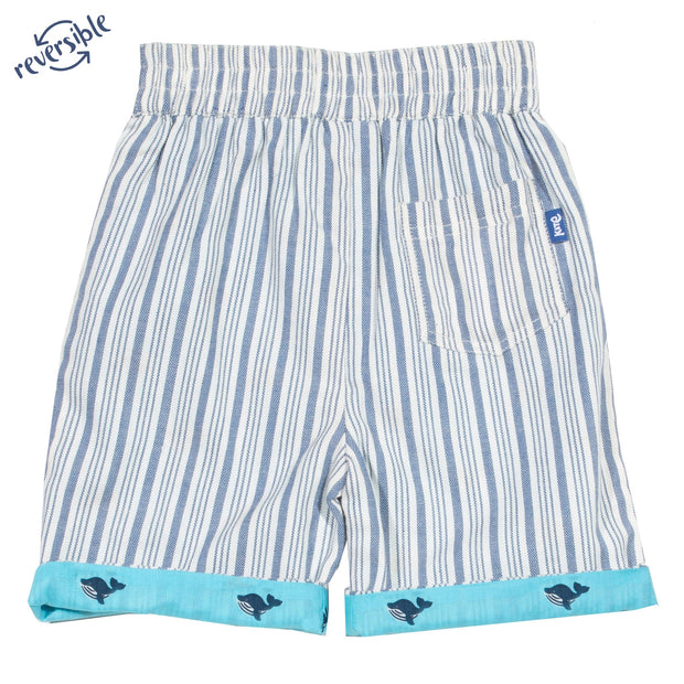 Boy in wonder whale shorts