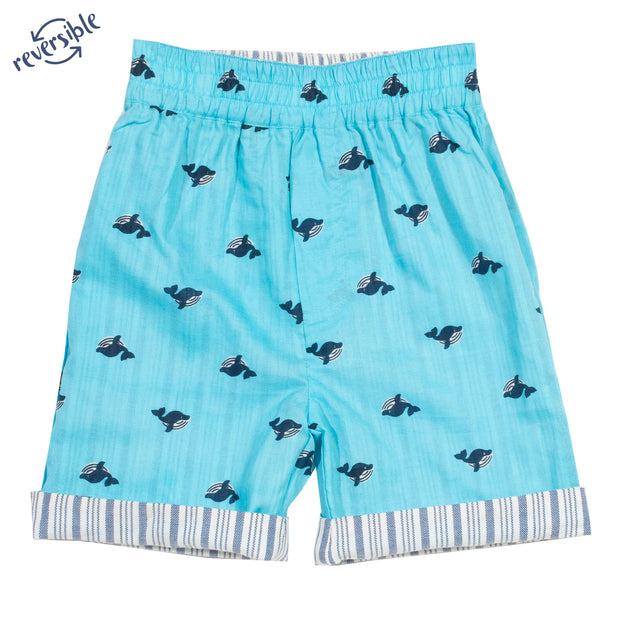 Boy in wonder whale shorts