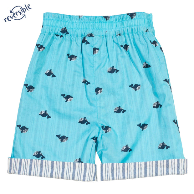 Boy in wonder whale shorts